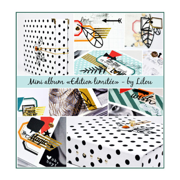 Fiche technique - Mini album "Edition limitée" à télécharger