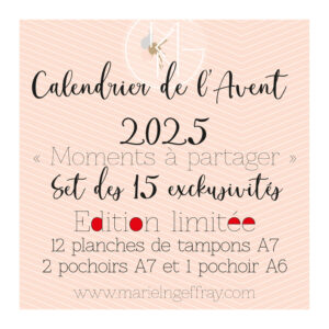 Calendrier de l'Avent 2025 - les 15 exclusivités "Édition limitée"