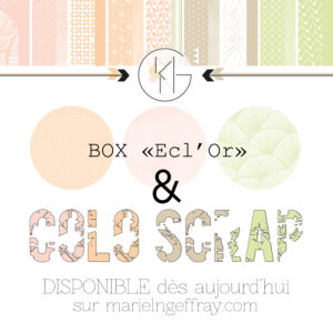Box "Ecl'Or" + Colo "Scrap" été 2026