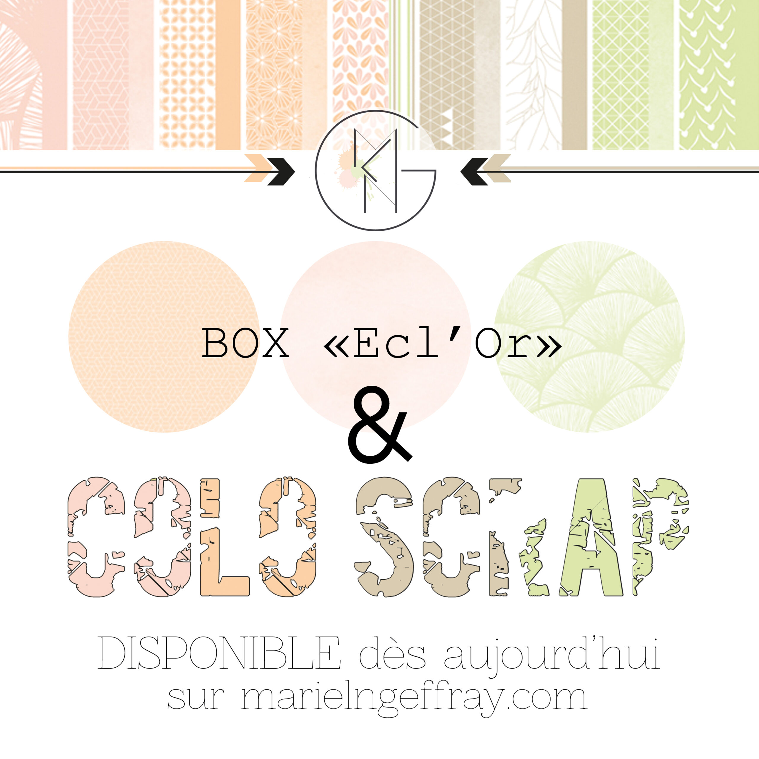 Box "Ecl'Or" + Colo "Scrap" été 2026